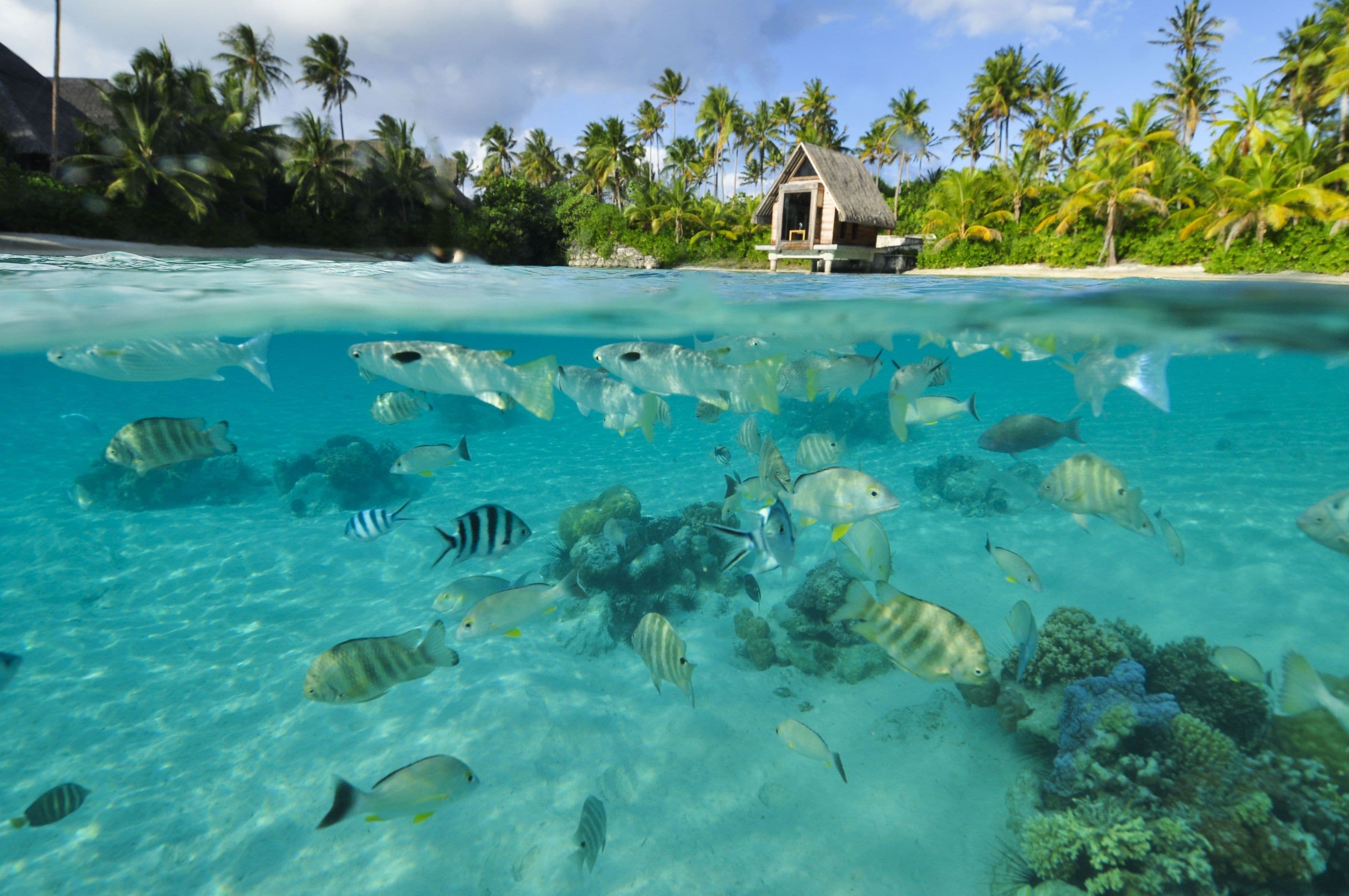 InterContinental Bora Bora Resort & Thalasso Spa — strand