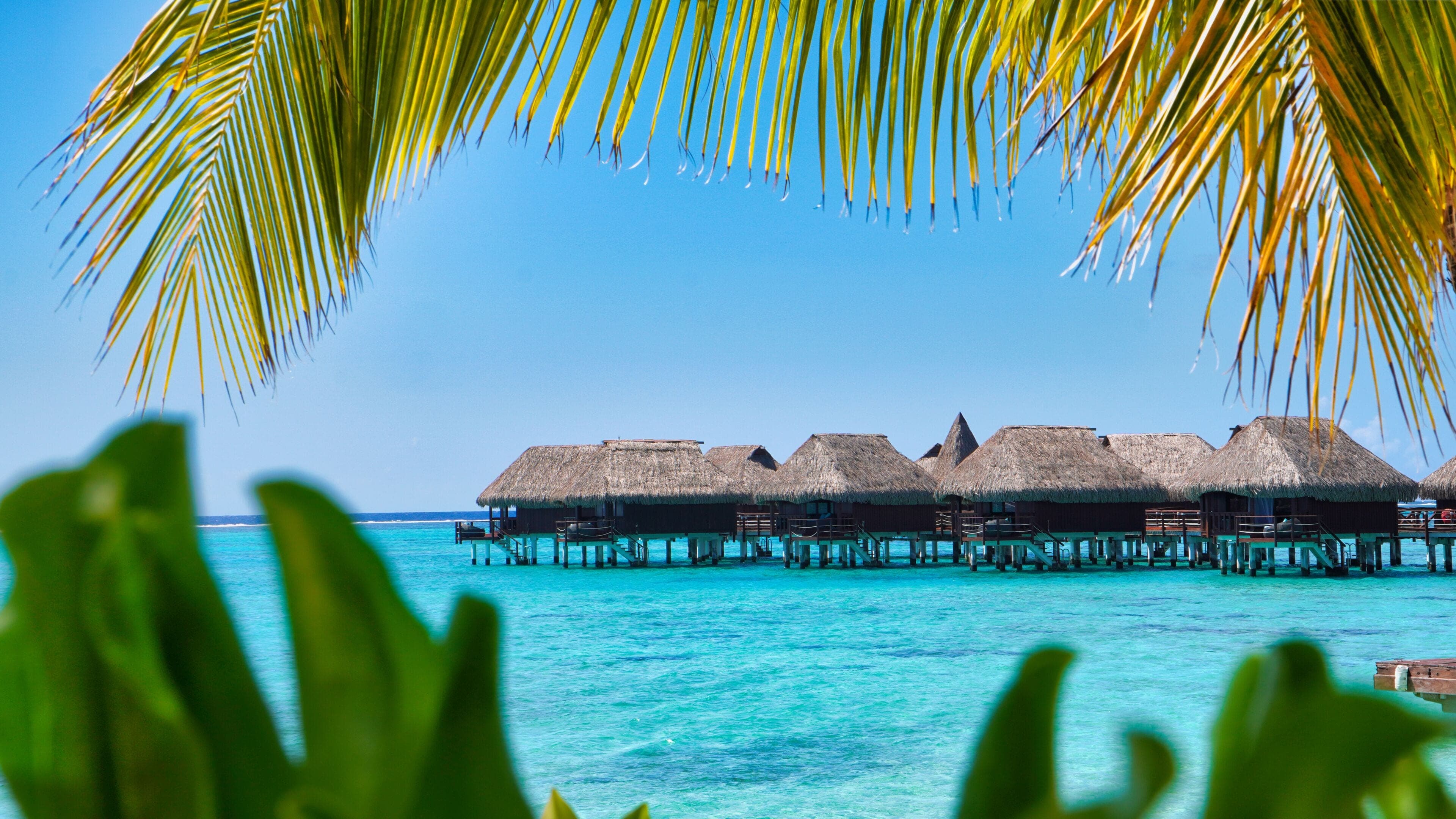 Sofitel Moorea Ia Ora Beach Resort — lagune